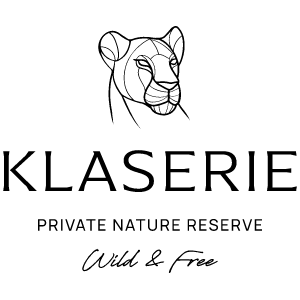 Klaserie Private Nature Reserve