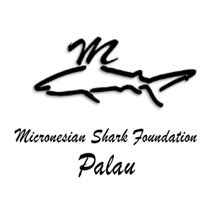 Micronesian Shark Foundation Palau